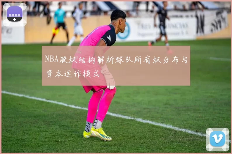 NBA股权结构解析球队所有权分布与资本运作模式