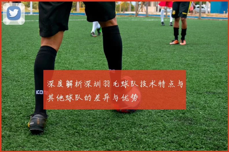深度解析深圳羽毛球队技术特点与其他球队的差异与优势