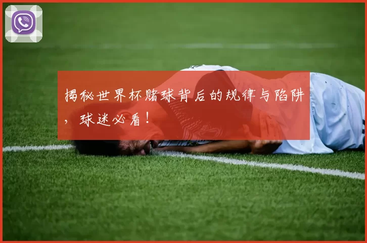 揭秘世界杯赌球背后的规律与陷阱，球迷必看！