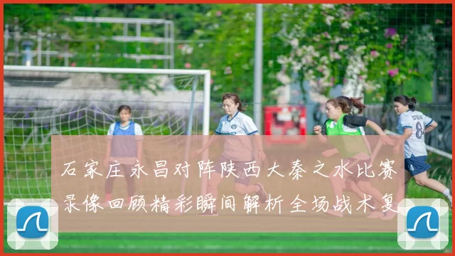 石家庄永昌对阵陕西大秦之水比赛录像回顾精彩瞬间解析全场战术复盘