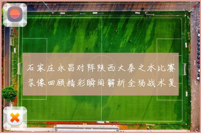 石家庄永昌对阵陕西大秦之水比赛录像回顾精彩瞬间解析全场战术复盘
