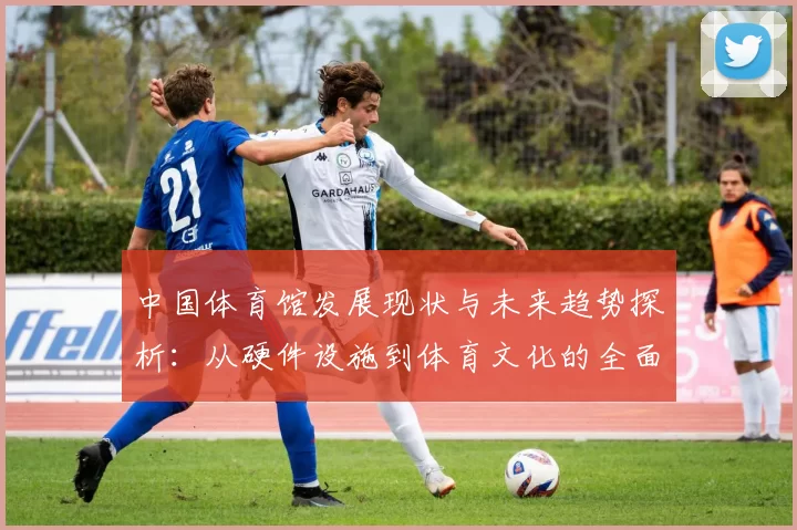 中国体育馆发展现状与未来趋势探析：从硬件设施到体育文化的全面升级
