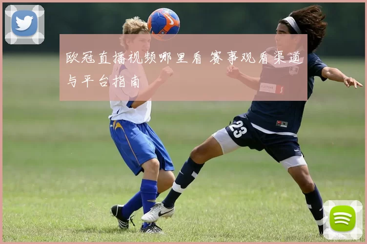 欧冠直播视频哪里看 赛事观看渠道与平台指南