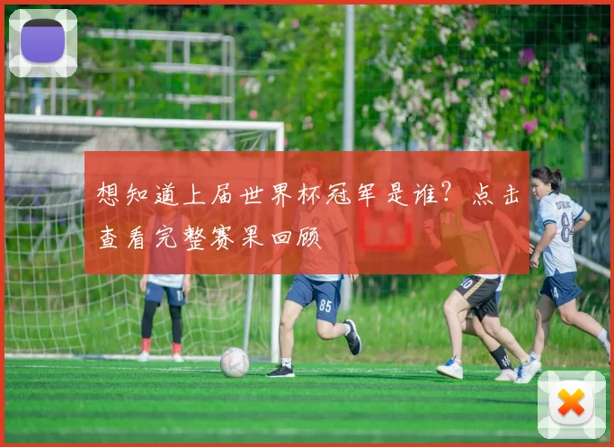 想知道上届世界杯冠军是谁?点击查看完整赛果回顾