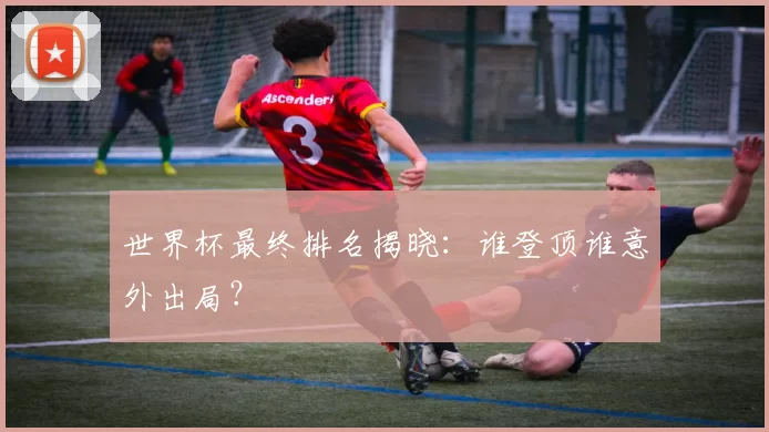 世界杯最终排名揭晓：谁登顶谁意外出局？