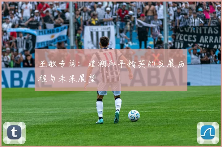 王敏专访：追溯和平精英的发展历程与未来展望