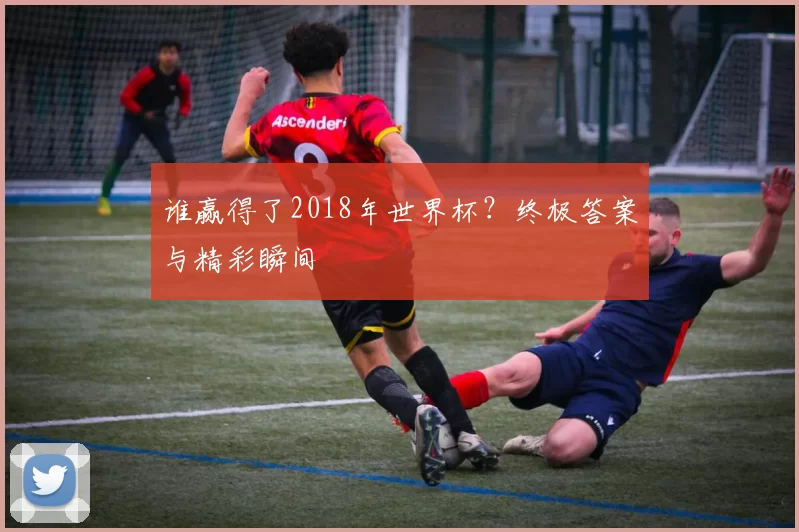 谁赢得了2018年世界杯？终极答案与精彩瞬间