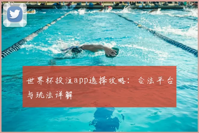 世界杯投注app选择攻略：合法平台与玩法详解
