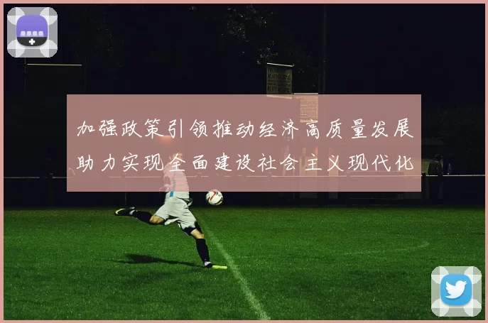 加强政策引领推动经济高质量发展助力实现全面建设社会主义现代化国家目标