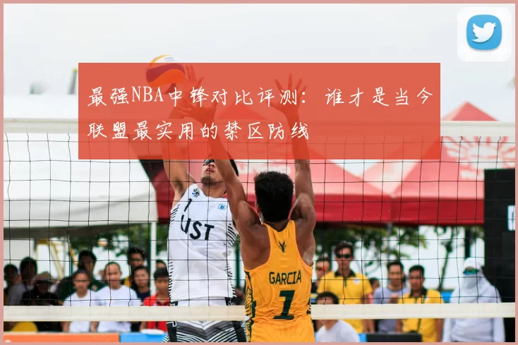 最强NBA中锋对比评测：谁才是当今联盟最实用的禁区防线
