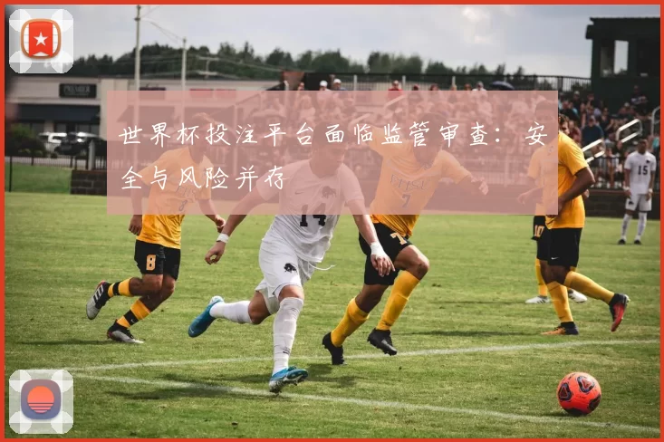 世界杯投注平台面临监管审查：安全与风险并存