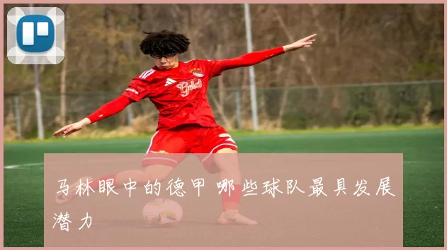 马林眼中的德甲 哪些球队最具发展潜力