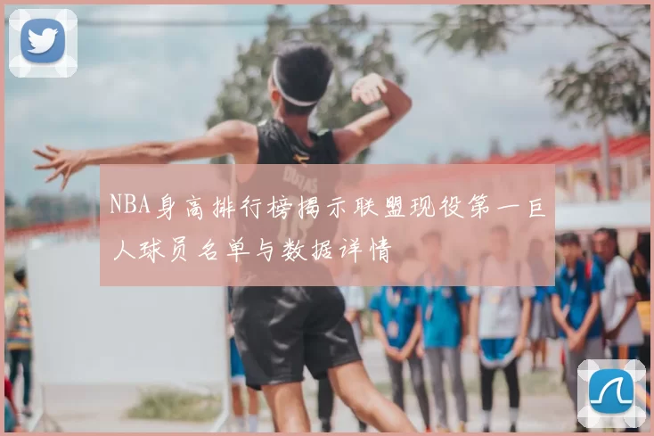 NBA身高排行榜揭示联盟现役第一巨人球员名单与数据详情
