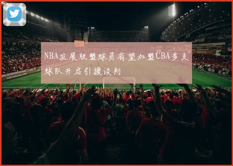 NBA发展联盟球员有望加盟CBA多支球队开启引援谈判