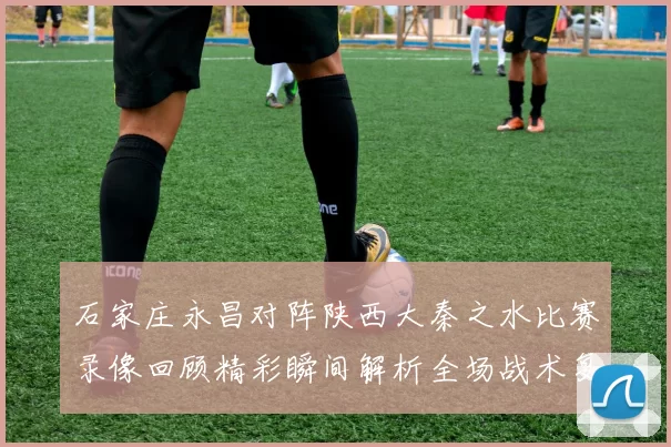 石家庄永昌对阵陕西大秦之水比赛录像回顾精彩瞬间解析全场战术复盘