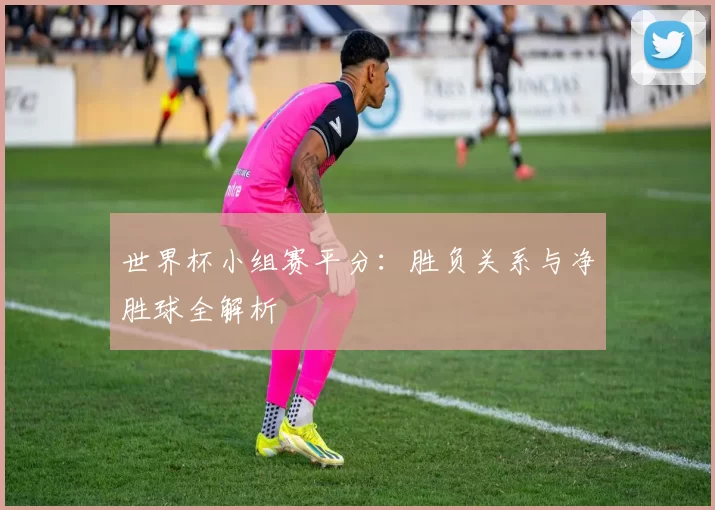 世界杯小组赛平分：胜负关系与净胜球全解析