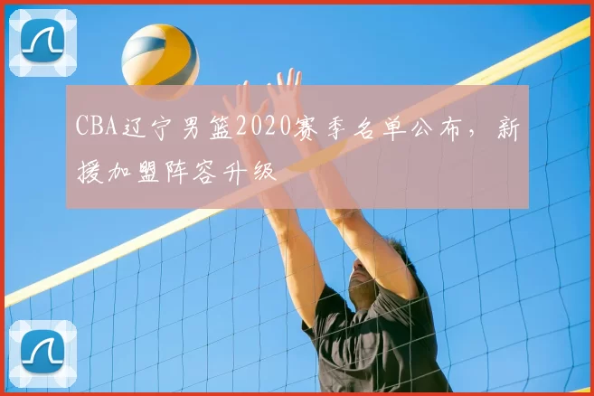 CBA辽宁男篮2020赛季名单公布，新援加盟阵容升级