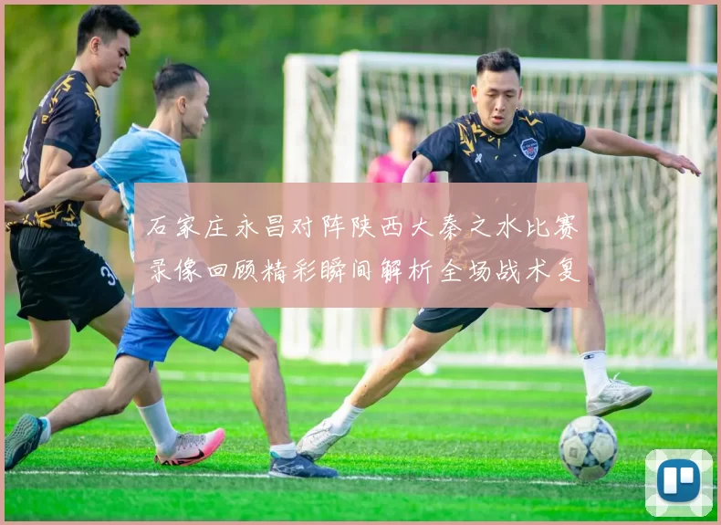 石家庄永昌对阵陕西大秦之水比赛录像回顾精彩瞬间解析全场战术复盘