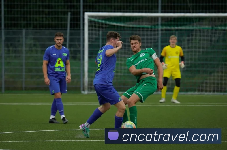 星空体育发展历程