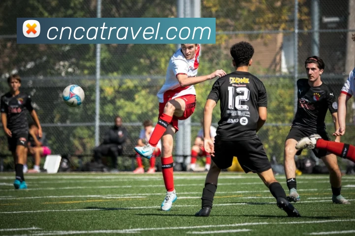 法甲观众统计数据及观赛行为分析报告